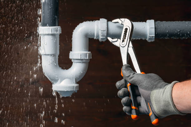 Professional Plumbing technician working in Oconee, IL